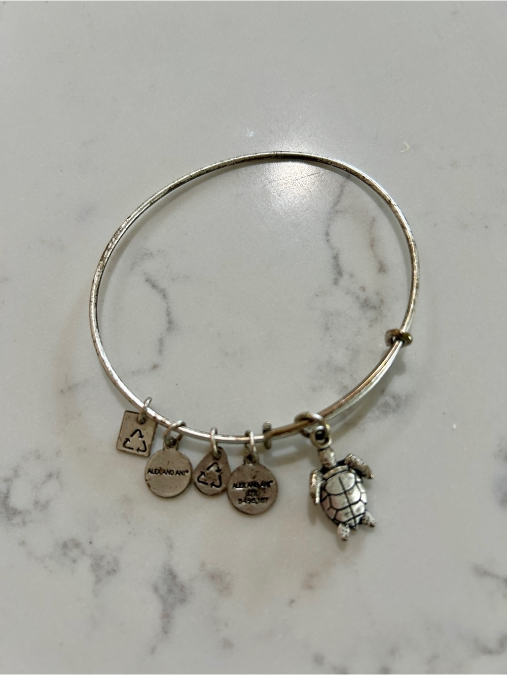 Alex and Ani Silver Turtle Charm Bangle in Bright Silver Tone
